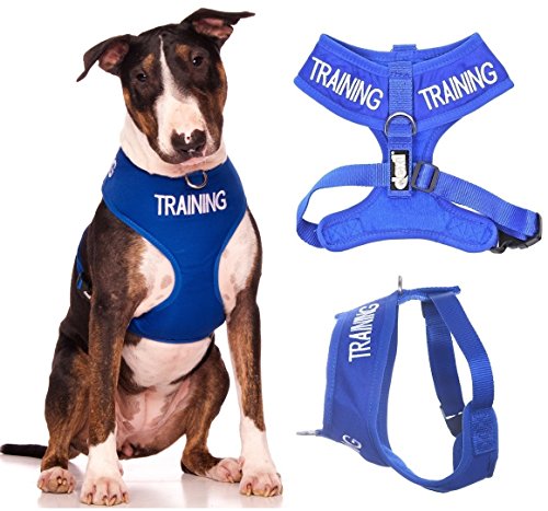 Friendly Dog Collars- Training Large Vest Harness