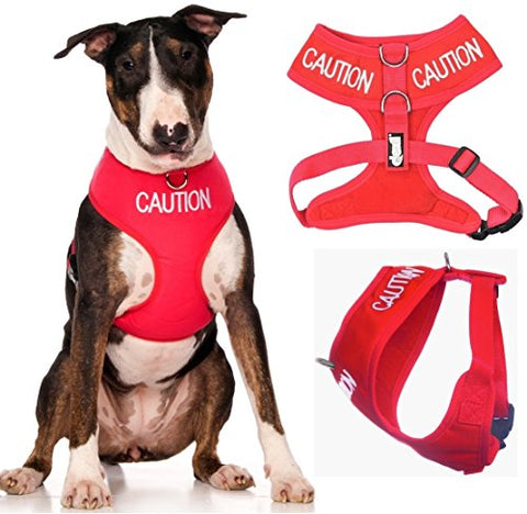 Friendly Dog Collars- Caution Large Vest Harness