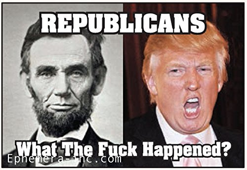 Republicans What the Fuck Happened? - Rectangular Magnet