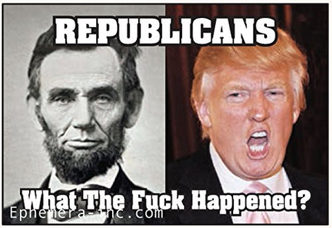 Republicans What the Fuck Happened? - Rectangular Magnet