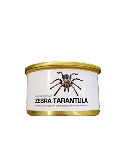 Edible Zebra Tarantula