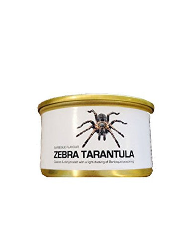 Edible Zebra Tarantula