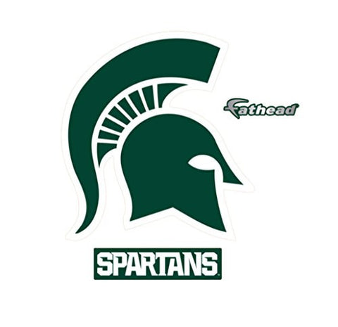 NCAA Michigan State Spartans 2015 Teammate Logo