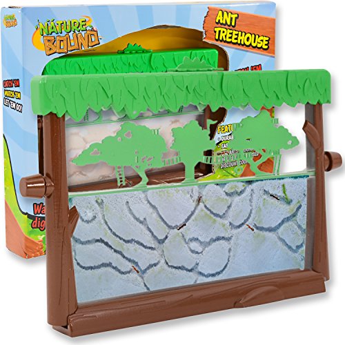 Ant Treehouse