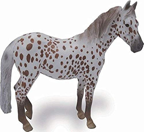 Horses - Chestnut Leopard British Spotted Pony Mare