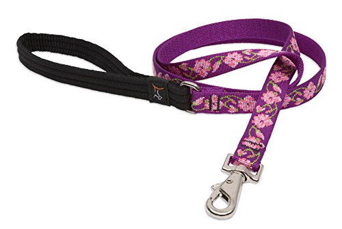 LupinePet Originals 3/4" Rose Garden 4-foot Padded Handle Leash for Medium and Larger Dogs