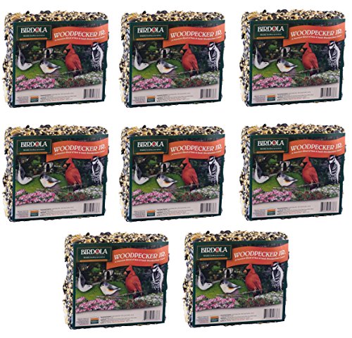 BIRDOLA .5LB JUNIOR WOODPECKER SEED CAKE