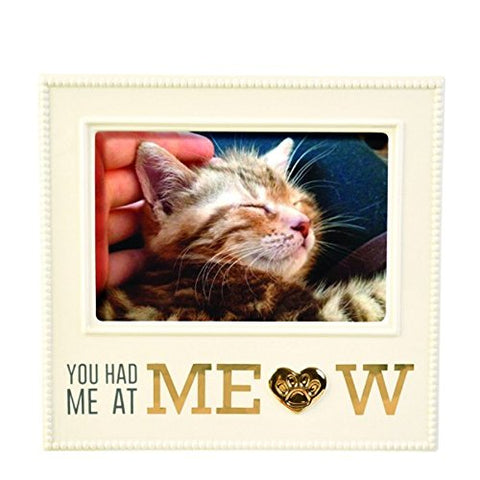 You Had Me At Meow Frame