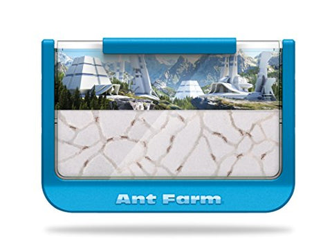 Ant-iversary Ant Farm, 60th