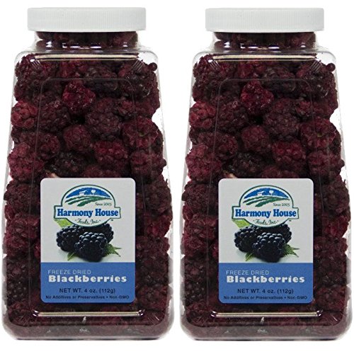 Freeze Dried Blackberries (4 Oz.)