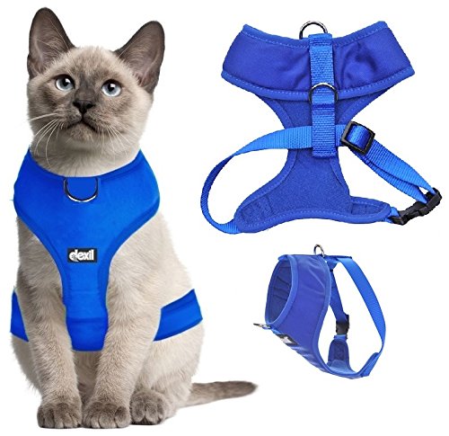 Dexil Limited- Royal Blue XS Vest Harness