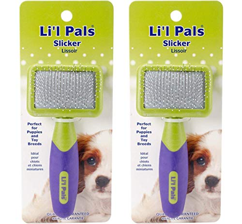 Coastal Pet LilPals Slicker Brush