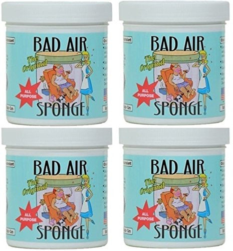 The Bad Air Sponge 14oz