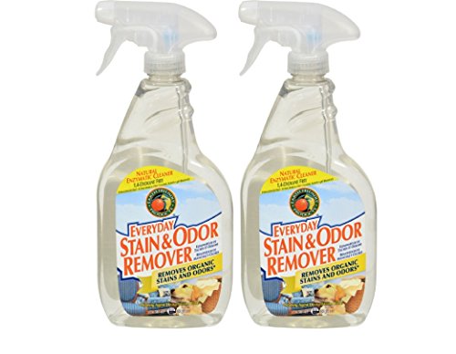 Earth Friendly Products Stain & Odor Remover Spray, 22 oz