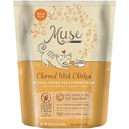 Muse Dry Cat Chicken Egg Pumpkin 1 lb