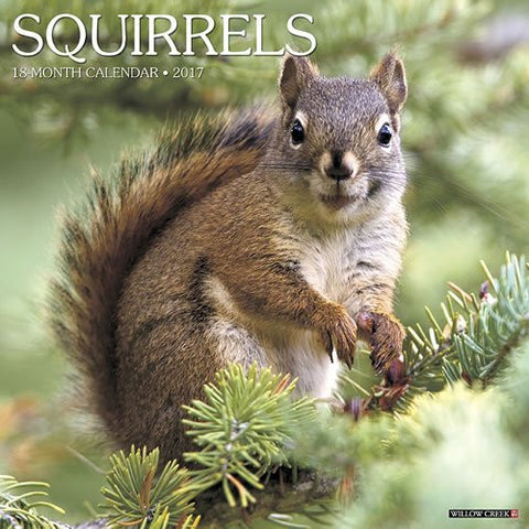 2017 Wall Calendars, Wildlife - Squirrels