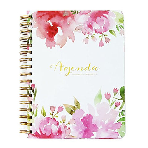 Agenda September 2016 - Dec 2017 Embry