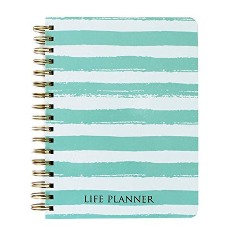 Life Planner Inspirational - Mint stripes