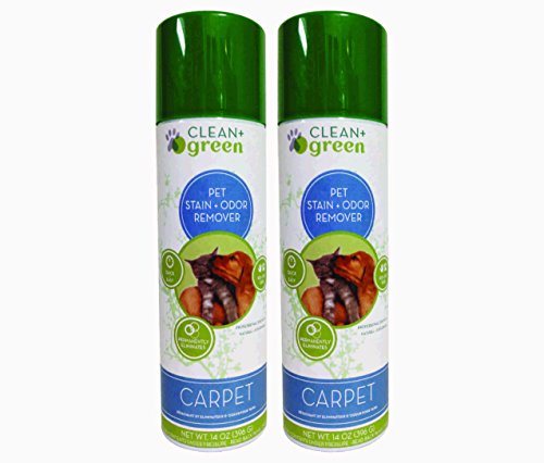 Clean & Green Carpet Stain & Odor Remover for Cats & Dogs, 14 oz