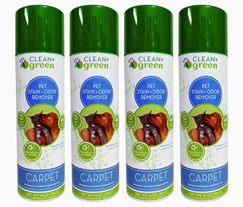 Clean & Green Carpet Stain & Odor Remover for Cats & Dogs, 14 oz
