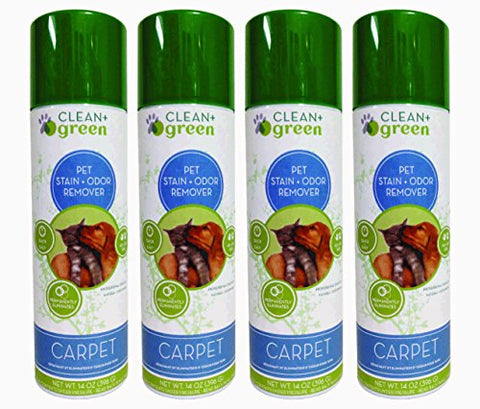 Clean & Green Carpet Stain & Odor Remover for Cats & Dogs, 14 oz