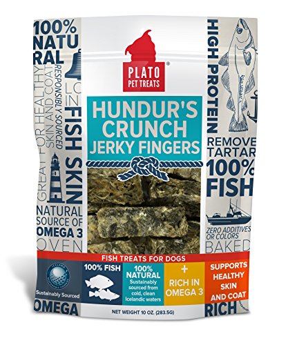 Plato D Hundur Crnch Fngr 10oz