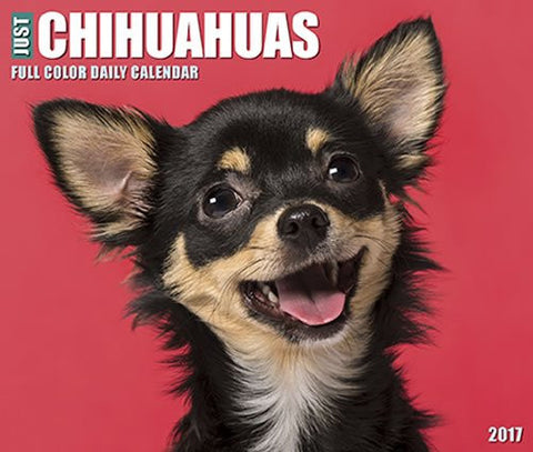 2017 Daily Box Calendars - Just Chihuahuas