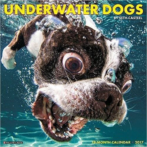 2017 Featured Calendars - Underwater Dogs