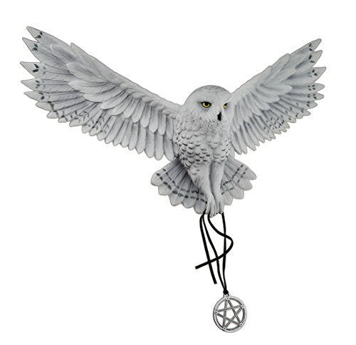 Awaken Your Magic By Anne Stokes, L 18 1/8", W 10 5/8", H 4 3/8"