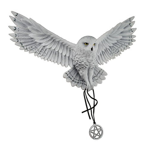 Awaken Your Magic By Anne Stokes, L 18 1/8", W 10 5/8", H 4 3/8"