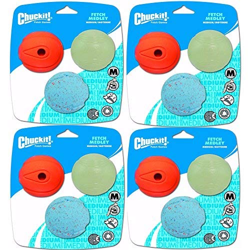 Canine Hardware ChuckIt! Fetch Medley Ball Medium 3pk