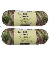 Caron Simply Soft Yarn - Paints Rose Garden 204 Yards 4 OZ