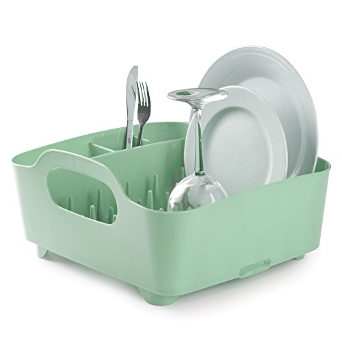 Tub Dish Rack Mint, 15 x 14 x 7 ½” (38.1 x 35.6 x 9.1 cm) – Capital Books  and Wellness