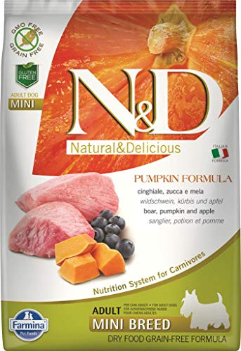 Farmn D Pmpkn Min Boar 15.4lbs