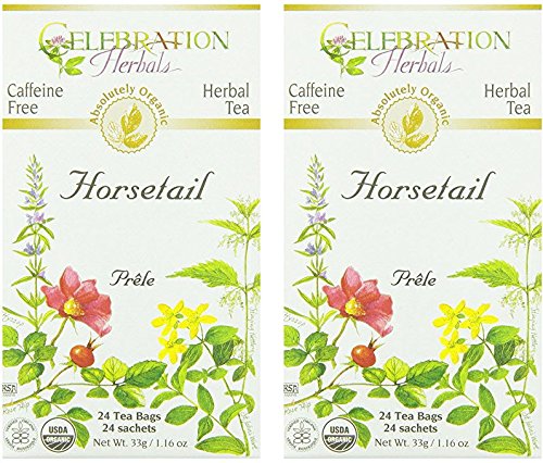 Celebration Herbals - 24 bag Horsetail Tea Organic