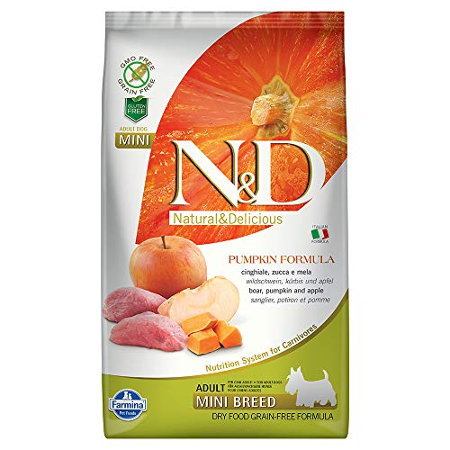 Farmn D Pmpkn Min Boar 5.5lbs