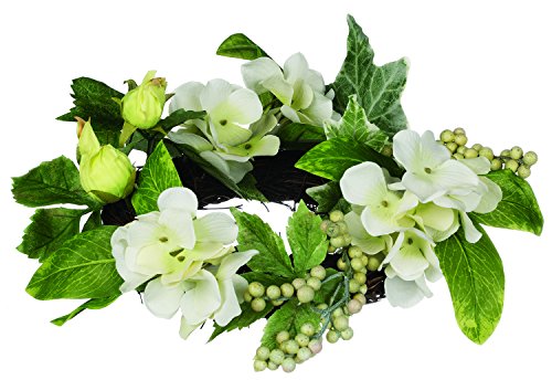 HYDRANGEA BERRY C R