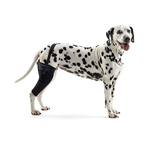 Kruuse Rehab Knee Protector - Medium, Right