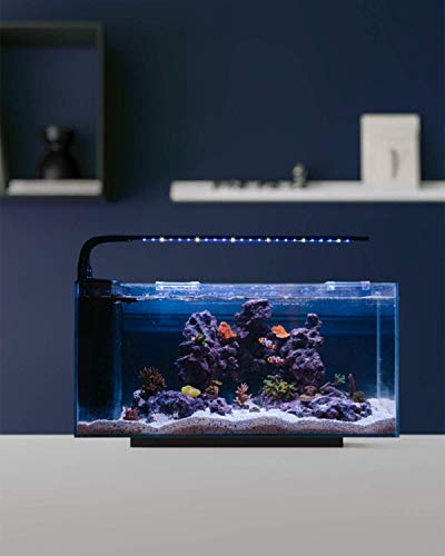 JBJ Rimless Desktop 10 Gallon Flat Panel Peninsula Aquarium w/ LED Light (RL-10-FPP)