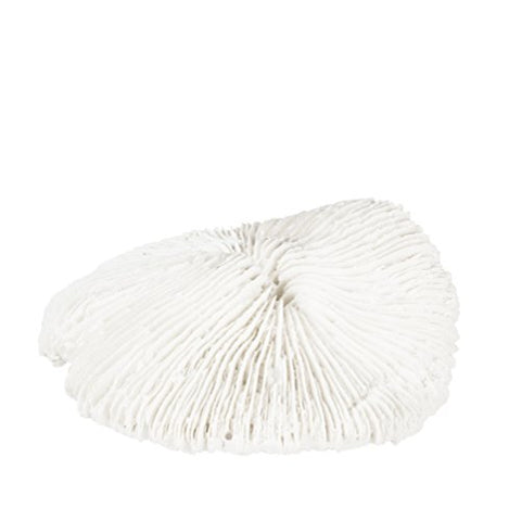 5.25" CORAL