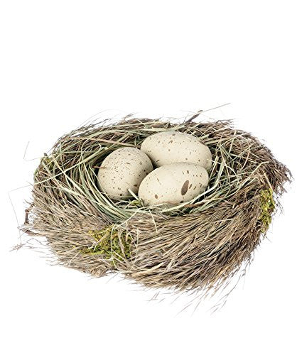 5" BIRD NEST EGGS