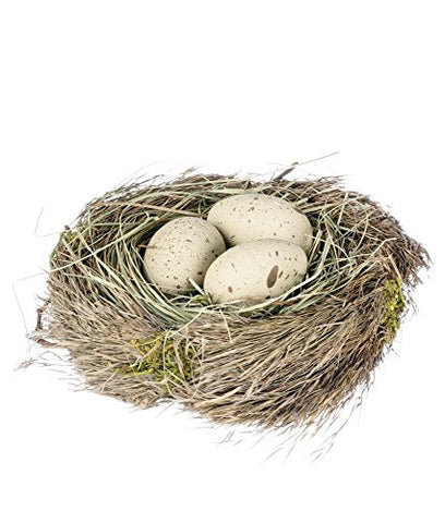5" BIRD NEST EGGS