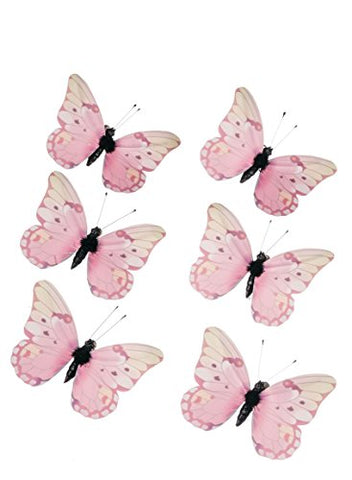 2.5" BUTTERFLY X6 SMALL PI