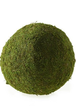 Large Natural Moss Kissing Ball in Green - 10" Diameter