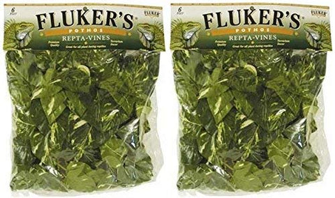 FLUKER FARMS REPTA VINE POTHOS GREEN 6 FT