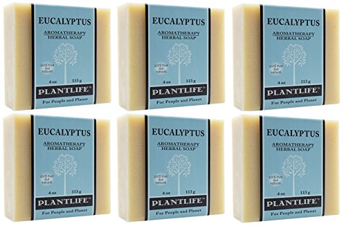 Soap - Eucalyptus