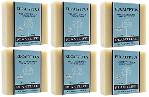 Soap - Eucalyptus