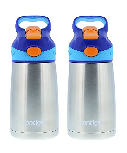 Contigo Striker Chill Stainless Steel Kids Water Bottle, Sapphire - Shop  Cups at H-E-B