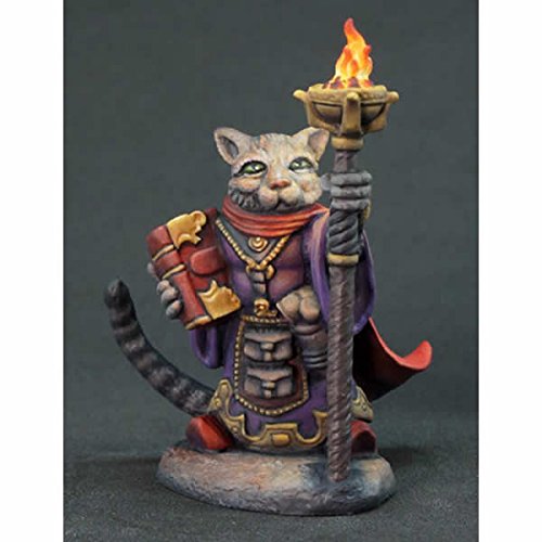 Dark Sword Miniatures - Critter Kingdoms: Archer, Grumpy Cat Warlock