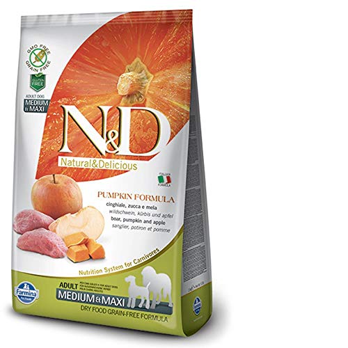 Farmn D Pmpkn Mbr Boar 5.5lbs